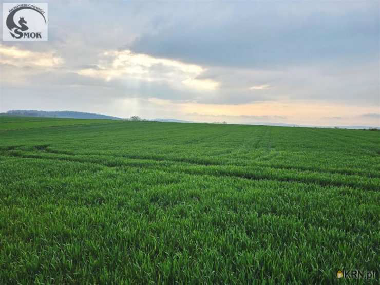 Działki  na sprzedaż, Skrzeszowice, ul. , 