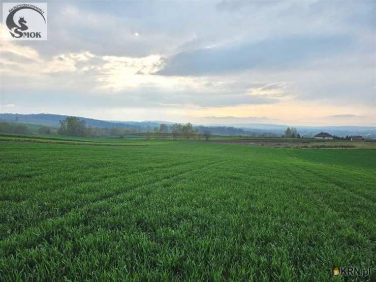 Działki  na sprzedaż, , Skrzeszowice, ul. 