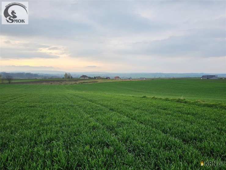 Skrzeszowice, ul. , Działki  na sprzedaż, 