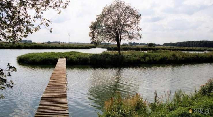 Działki  na sprzedaż, Dziedzice, ul. , 