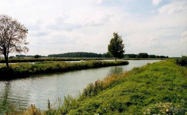 Działki  na sprzedaż, , Dziedzice, ul. 