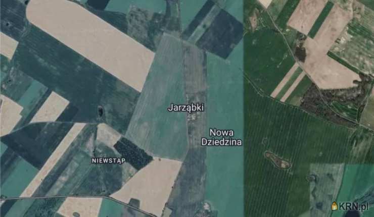 Dziedzice, ul. , Działki  na sprzedaż, 