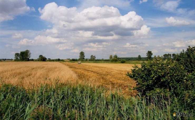 Dziedzice, ul. , , Działki  na sprzedaż