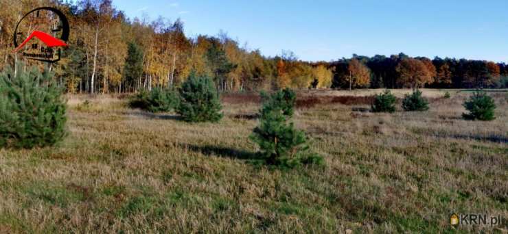 Czas Nieruchomości, Działki  na sprzedaż, Gołąbki, ul. 