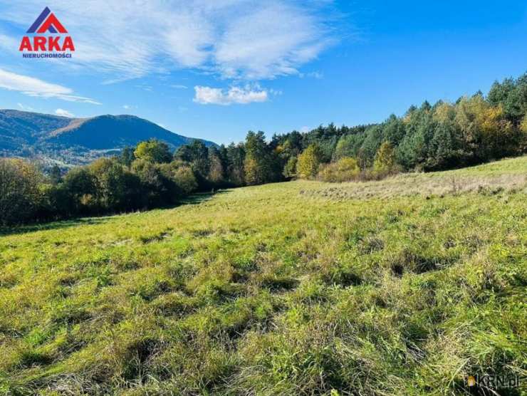 Mszana Dolna, ul. , Działki  na sprzedaż, 