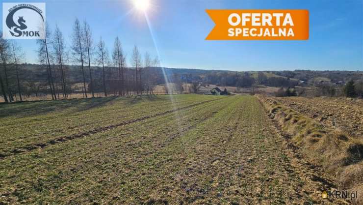 Działki  na sprzedaż, Przesławice, ul. , 