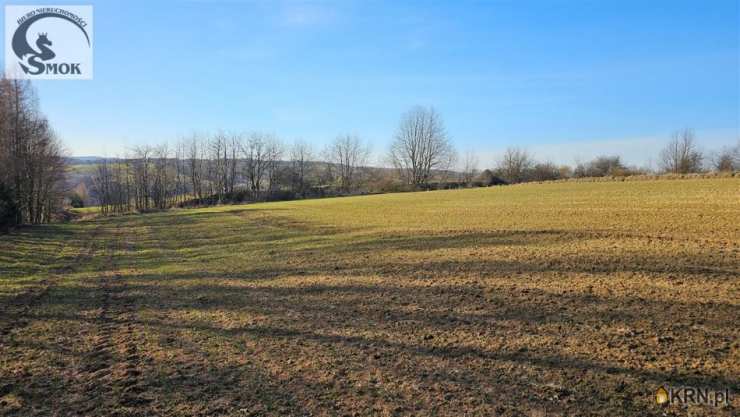 Działki  na sprzedaż, , Przesławice, ul. 