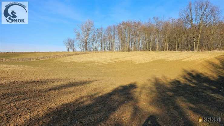 Przesławice, ul. , Działki  na sprzedaż, 