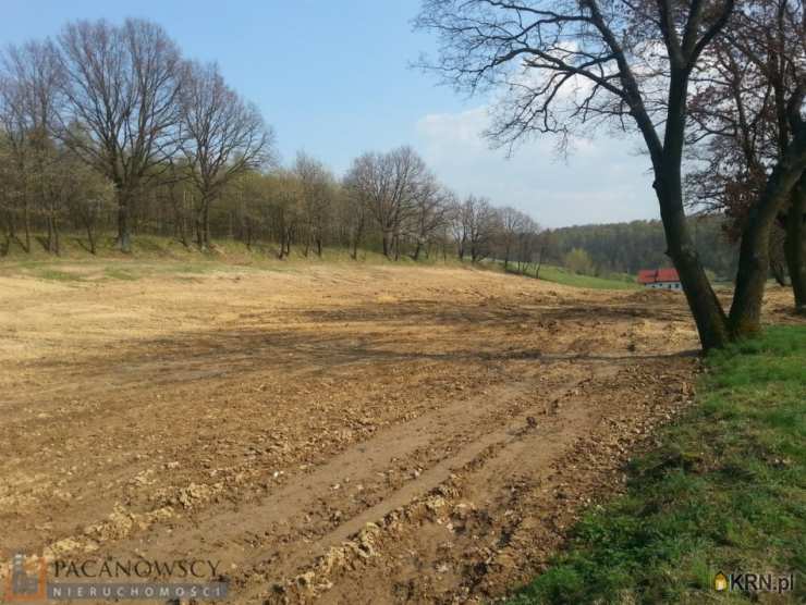 Działki  na sprzedaż, , Wola Więcławska, ul. 