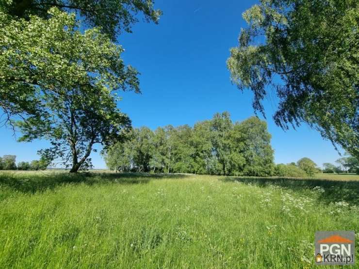 Strzeżewo, ul. , Działki  na sprzedaż, 
