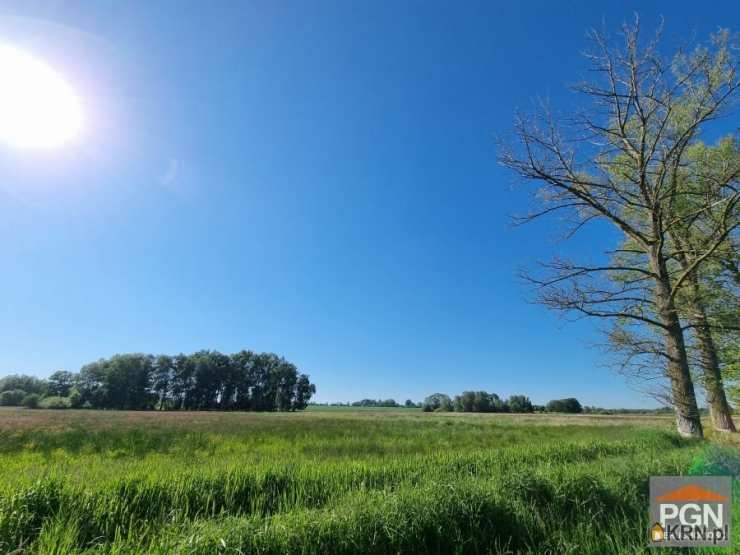 Strzeżewo, ul. , Działki  na sprzedaż, 