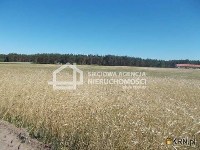 Śliwice, ul. , , Działki  na sprzedaż