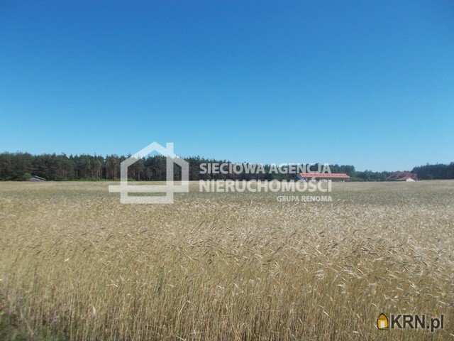 , Działki  na sprzedaż, Śliwice, ul. 