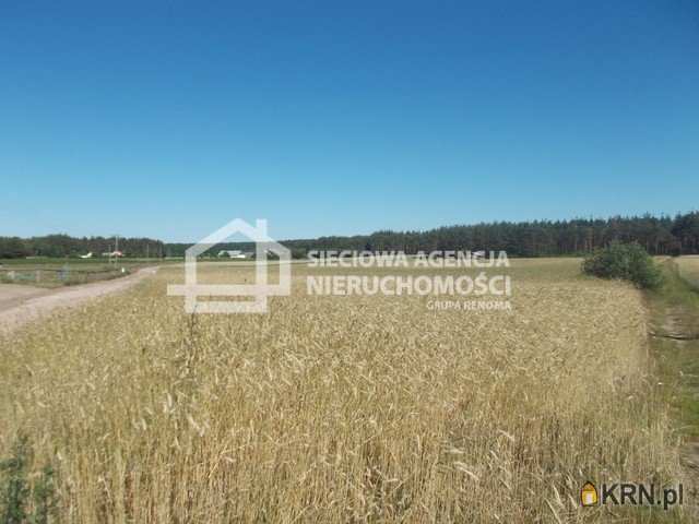 Śliwice, ul. , Działki  na sprzedaż, 