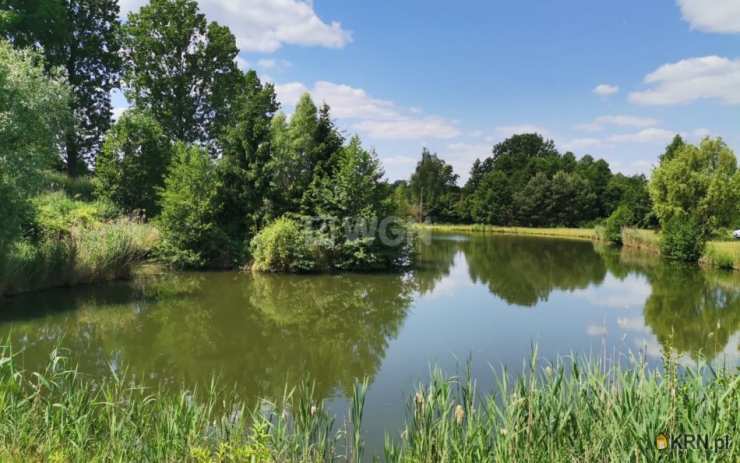 Polkowice Biuro - Agencja Nieruchomości WGN, Działki  na sprzedaż, Trzebcz, ul. 
