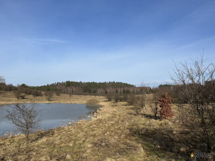 Działki  na sprzedaż, , Jagodnik, ul. 