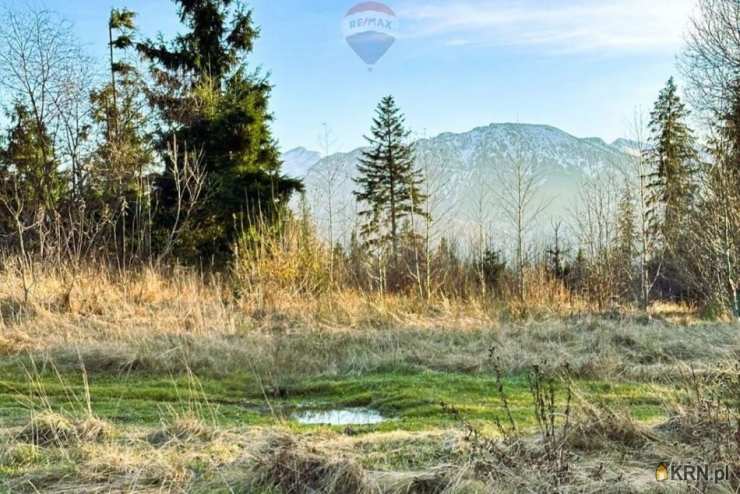 Działki  na sprzedaż, , Dzianisz, ul. 