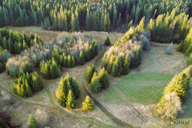 Działki  na sprzedaż, Dzianisz, ul. , 