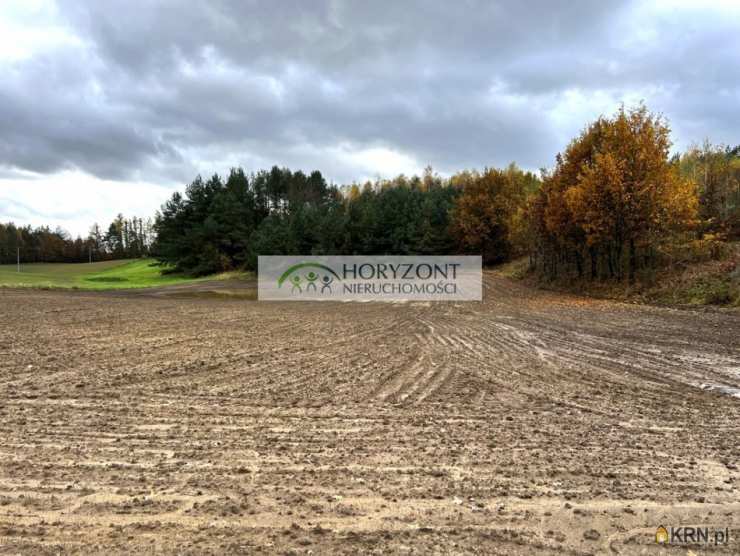 Działki  na sprzedaż, Mściszewice, ul. , 