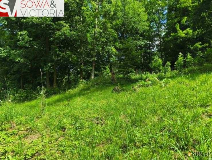 Działki  na sprzedaż, , Stare Bogaczowice, ul. 