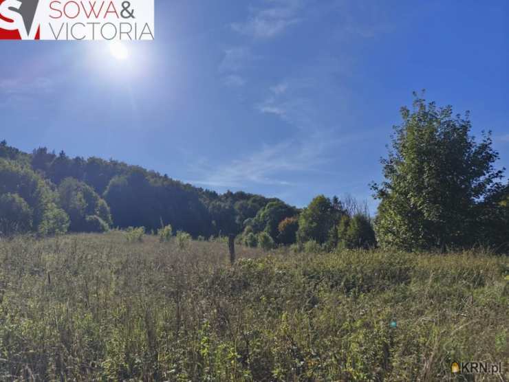 , Działki  na sprzedaż, Stare Bogaczowice, ul. 