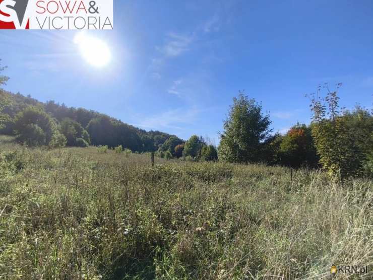 Biuro Nieruchomości SOWA, Działki  na sprzedaż, Stare Bogaczowice, ul. 
