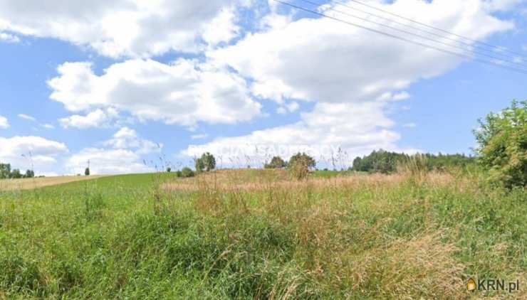 Działki  na sprzedaż, Młodziejowice, ul. , 