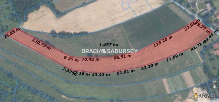 Młodziejowice, ul. , Działki  na sprzedaż, 