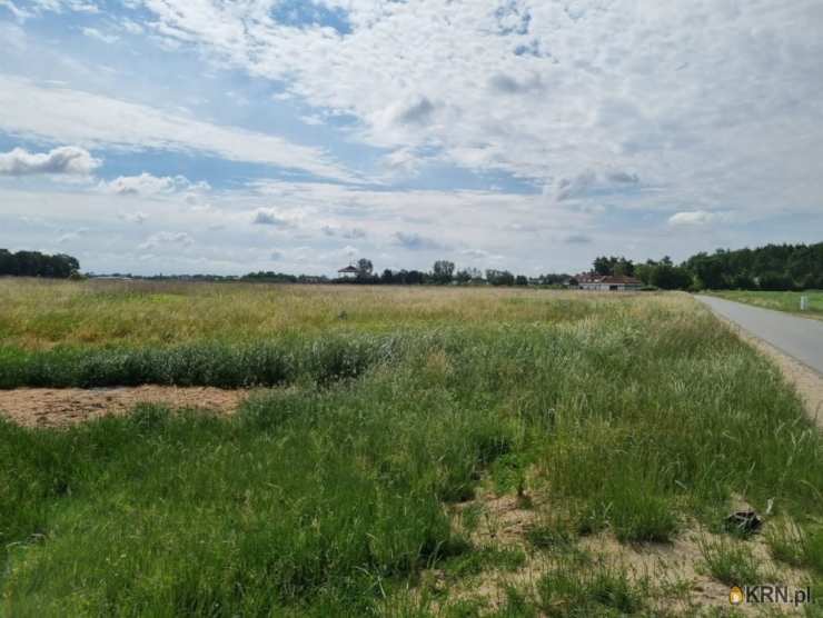 Siedlec, ul. , Działki  na sprzedaż, 