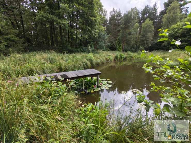 TRUhome Nieruchomości Piotr Cyba, Działki  na sprzedaż, Hutka, ul. 