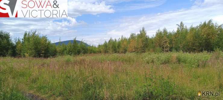 Wałbrzych, ul. , Działki  na sprzedaż, 