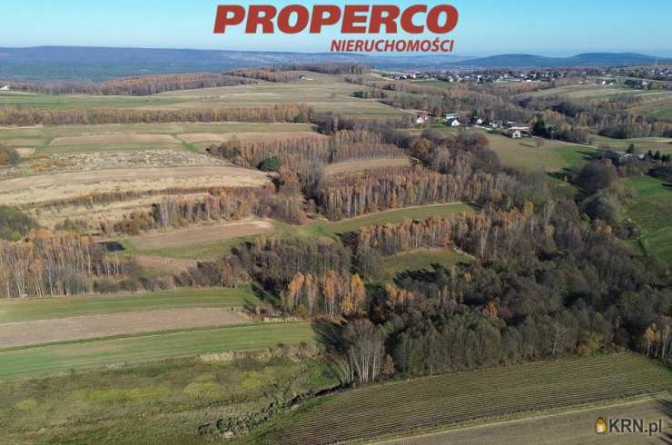 Działki  na sprzedaż, Bęczków, ul. , 