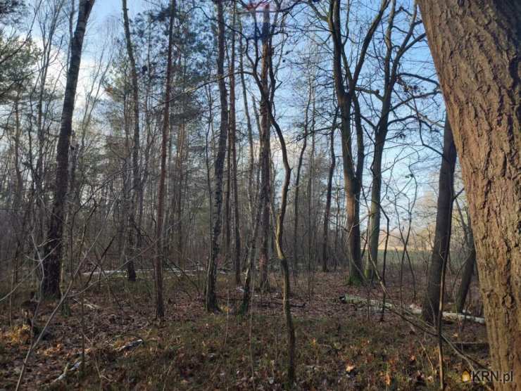 RE/MAX Polska, Działki  na sprzedaż, Piskórka, ul. 