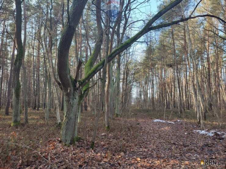 Działki  na sprzedaż, Piskórka, ul. , 