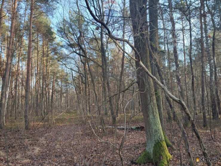 Działki  na sprzedaż, , Piskórka, ul. 