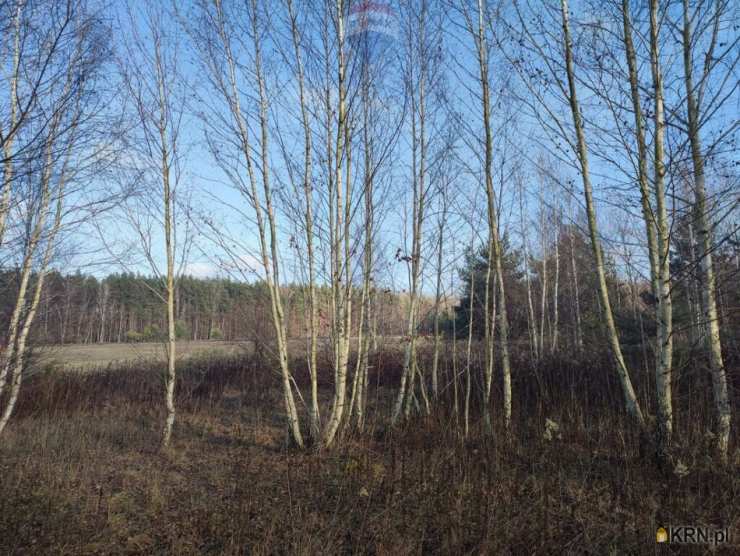 , Piskórka, ul. , Działki  na sprzedaż