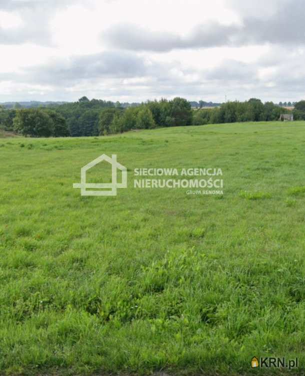 Sieciowa Agencja Nieruchomości Grupa Renoma, Działki  na sprzedaż, Wierzchucino, ul. 