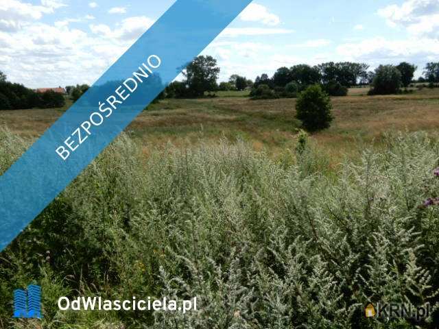 Działki  na sprzedaż, Trzeszyn, ul. , 