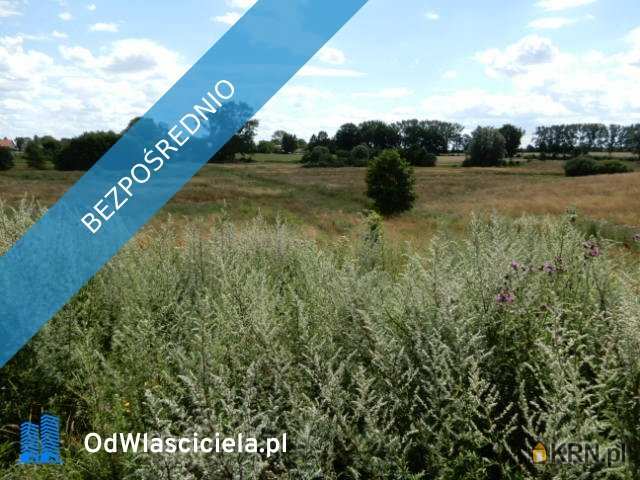 Działki  na sprzedaż, , Trzeszyn, ul. 