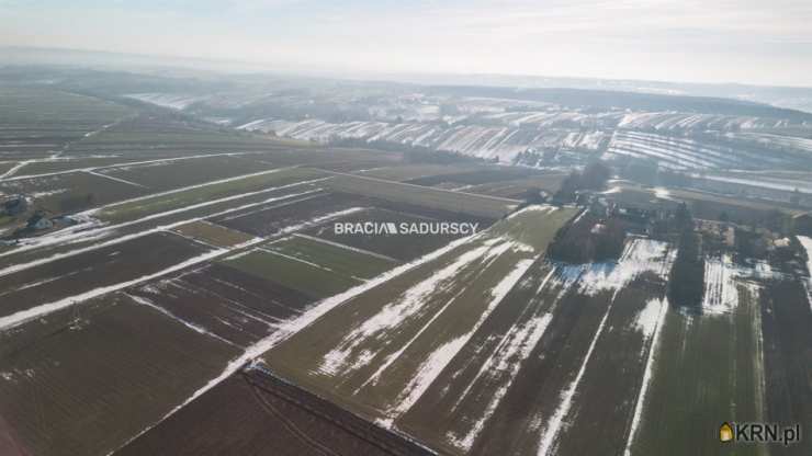 Gołyszyn, ul. , , Działki  na sprzedaż