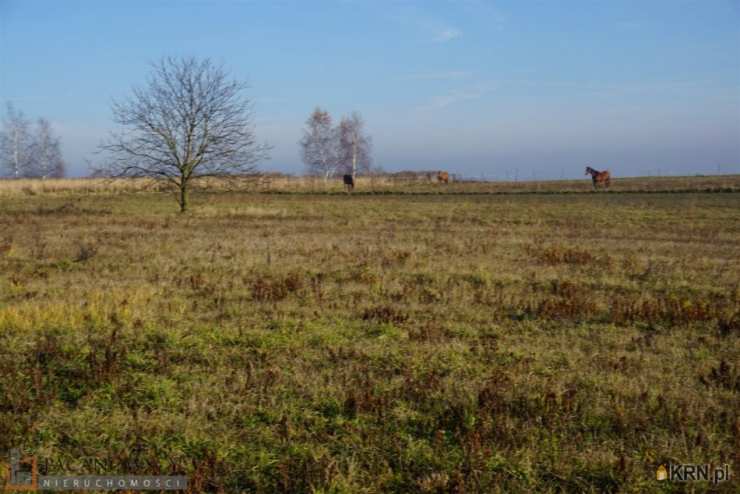 Działki  na sprzedaż, Iwanowice Włościańskie, ul. , 