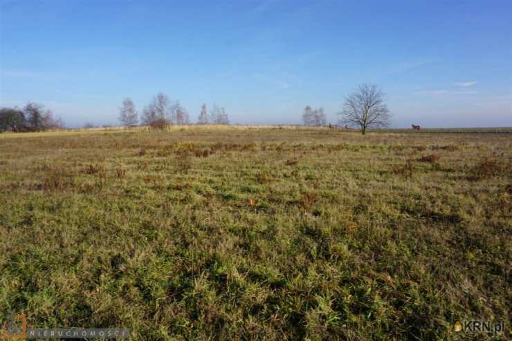 , Działki  na sprzedaż, Iwanowice Włościańskie, ul. 