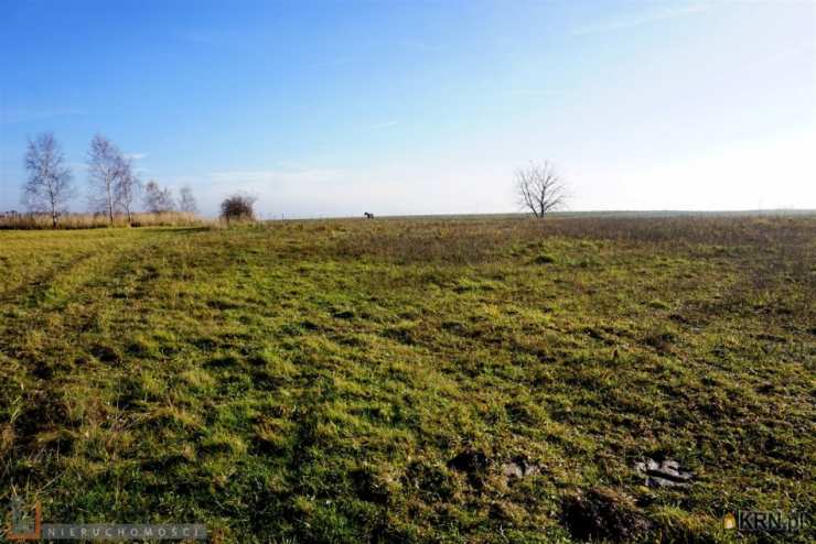 PACANOWSCY NIERUCHOMOŚCI, Działki  na sprzedaż, Iwanowice Włościańskie, ul. 