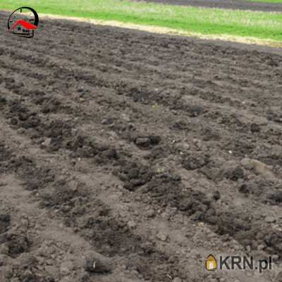 Działki  na sprzedaż, Osiek Mały, ul. , 