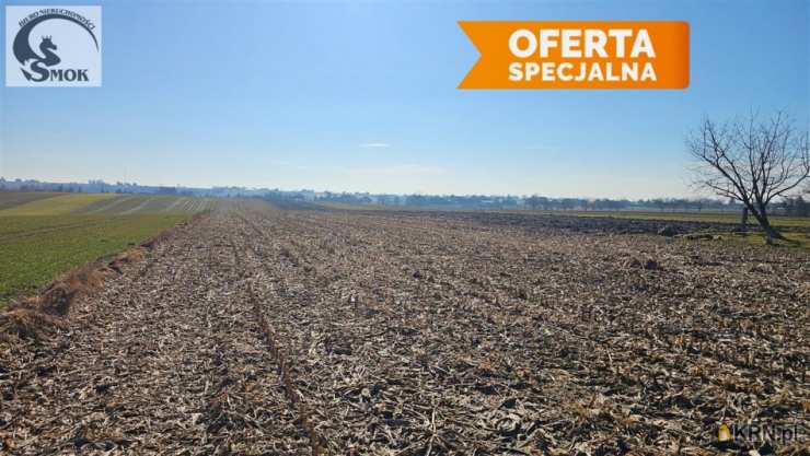 Działki  na sprzedaż, Smroków, ul. , 