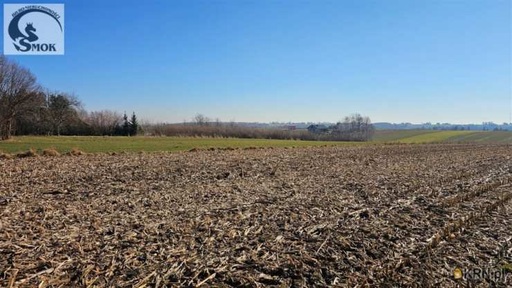 Działki  na sprzedaż, , Smroków, ul. 