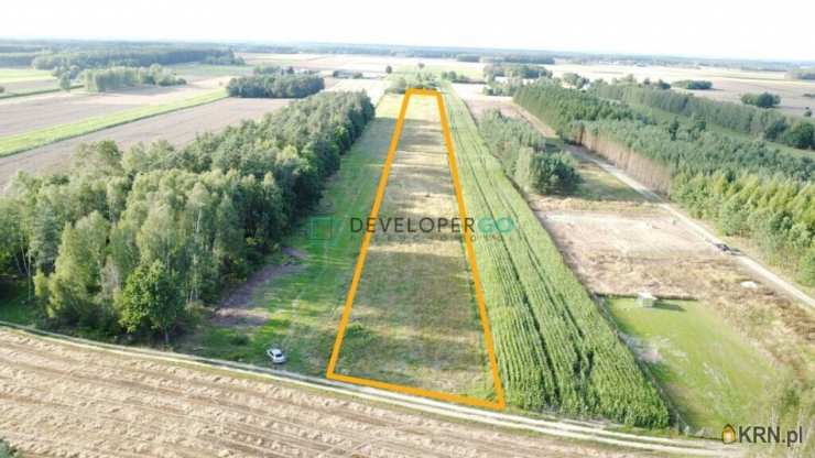 Działki  na sprzedaż, Dąbrówka-Wyłazy, ul. , 