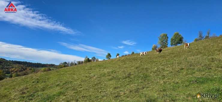 , Działki  na sprzedaż, Mszana Górna, ul. 