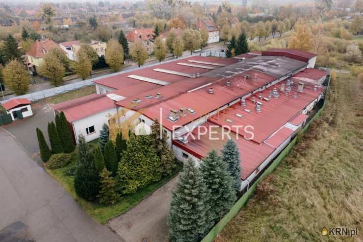 Korsze, ul. Wolności, Działki  na sprzedaż, 