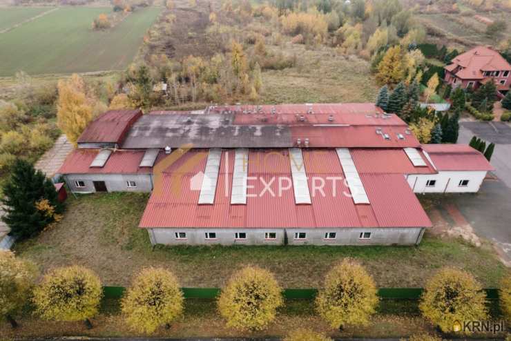 Korsze, ul. Wolności, , Działki  na sprzedaż